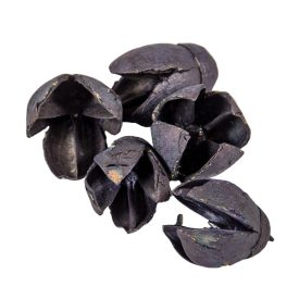 Bakuli szárított fekete 20dkg/csom