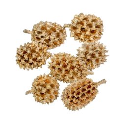 Casuarina szárított pezsgő 17dkg/csom