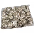 Kókusz virág szárított metál pezsgő 16dkg/csom