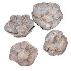 Kókusz virág szárított havas fehér 16dkg/csom