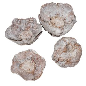 Kókusz virág szárított havas fehér 16dkg/csom