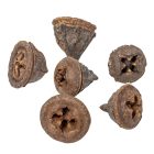 Eukaliptusz gomb natúr 28dkg/csom