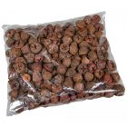 Eukaliptusz gomb terrakotta 28dkg/csom