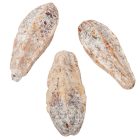 Mehogany szárított havas fehér 14db-os