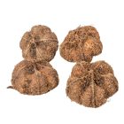 Fokhagyma termés szárított natúr 20dkg/csom