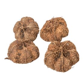 Fokhagyma termés szárított natúr 20dkg/csom