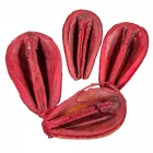 Mike szárított piros 22dkg/csom