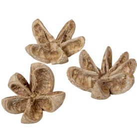 Vad narancs szárított havas fehér 14db-os