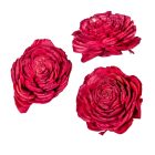 Ming boglárka bordó 4cm 50db-os