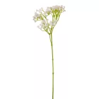 Rezgő ág M48cm 72db/#