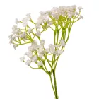 Rezgő ág M48cm 72db/#