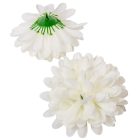 Krizantém virágfej D13cm 24db/csom