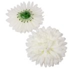 Krizantém virágfej krém D12cm 24db/csom