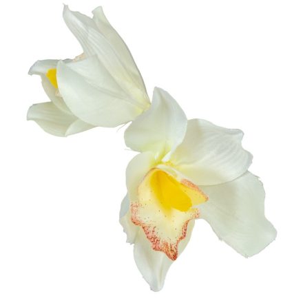 Orchidea virágfej szatén D8cm krém 24db/csom