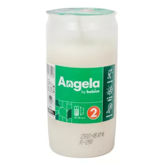 Olajmécses 2napos 105gr 9,5cm 30db/#
