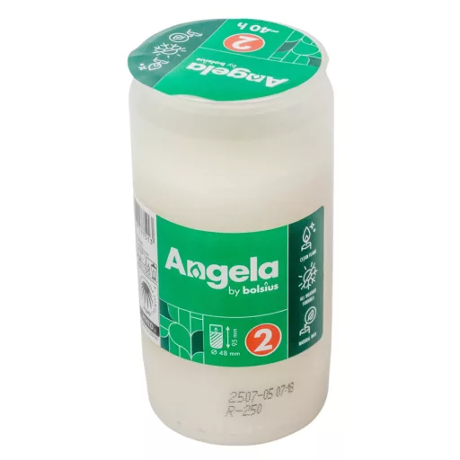 Olajmécses 2napos 105gr 9,5cm 30db/#