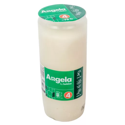 Olajmécses 4napos 210gr 14cm 20db/#