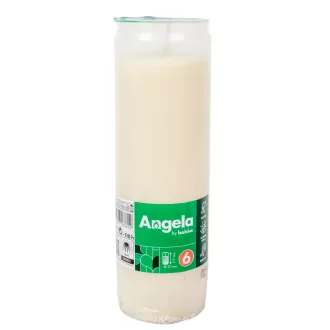 Olajmécses 6napos 335gr 17,5cm 20db/#