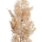 Karácsonyi ág havas M51cm 12db/#