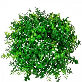 Eukaliptusz koszorú D24cm 24db/#