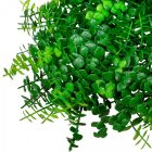 Eukaliptusz koszorú D24cm 24db/#