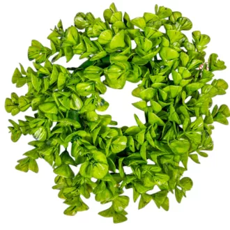 Eukalipsztus koszorú 25cm