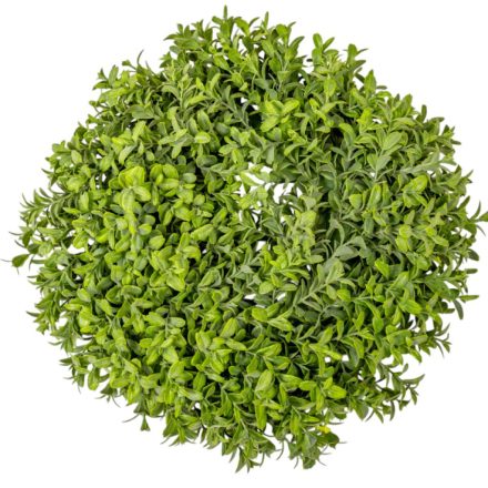 Buxus alap zöld D34cm