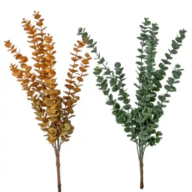 Eukaliptusz bokor mix M60cm 30db/#