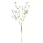 Rezgő ág 64cm 126db/#