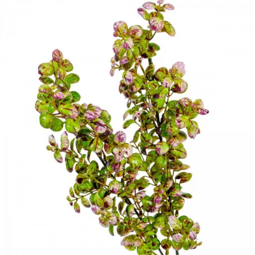 Leveles ág M65cm 48db/#
