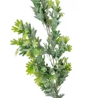 Agancság hamvas mix M68cm 48db/#