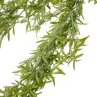 Rozmaring futó 80cm