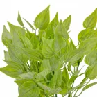 Szív leveles bokor 5ágú M35cm 48db/#