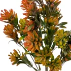 Kövirózsa csokor 5ágú M34cm 60db/#