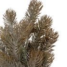 Fenyő ág hamvas M36cm