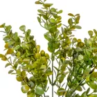 Apróleveles bokor 5ágú M35cm 120db/#