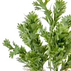 Agancsleveles bokor 5ágú M38cm 60db/#