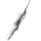 Glitteres dekor ág sztrasszal fekete 44cm