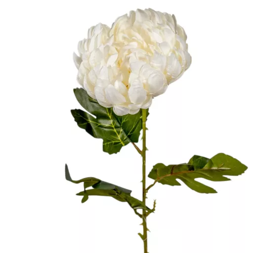 Krizantém szálas krém M60cm 48db/#