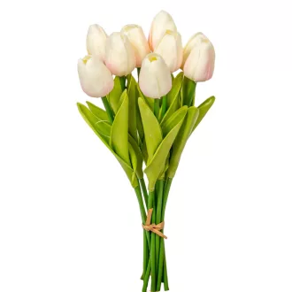 Tulipán köteg gumi 10v. krém-rózsaszín M33cm 24db/#