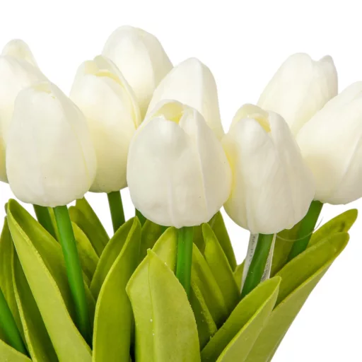 Tulipán köteg gumi 10v. krém M32cm 24db/#