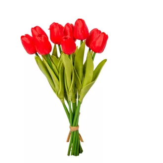 Tulipán köteg gumi 10v. piros  M33cm 24db/#