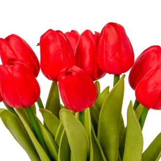 Tulipán köteg gumi 10v. piros  M33cm 24db/#