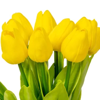 Tulipán köteg gumi 10v. sárga M33cm 42db/#