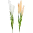 Pampafű levélllel M92cm