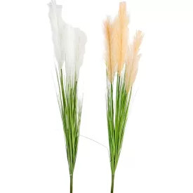 Pampafű levélllel M92cm