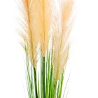 Pampafű levélllel M92cm