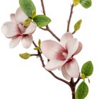Magnólia ág polifoam 3v. M50cm 24db/#