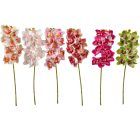 Orchidea ág polifoam 9v. M76cm 24db/#