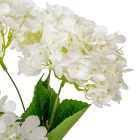 Hortenzia csokor 5v. krém M48cm 25db/#